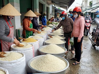 Giá lúa gạo hôm nay 26.1: Gạo nguyên liệu giảm nhẹ