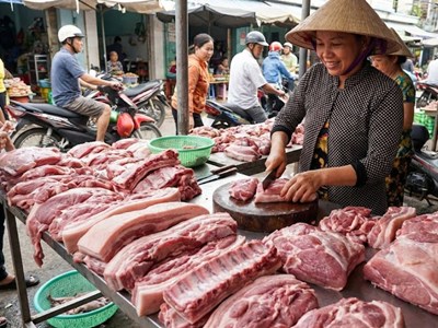 Giá heo hơi hôm nay 27.1.2026: Miền Bắc lập đỉnh 80.000 đồng/kg