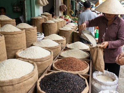 Giá lúa gạo hôm nay 2.2: Thị trường lặng sóng, đi ngang trước Tết 