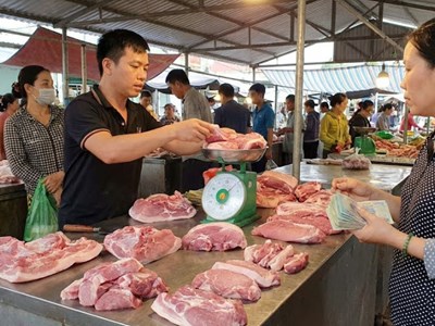 Giá heo hơi hôm nay 10.2: Miền Bắc giữ đỉnh 76.000 đồng/kg