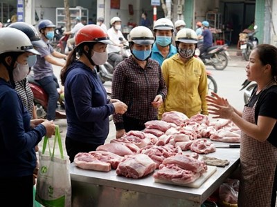 Giá heo hơi hôm nay 12.2: Tăng nhẹ cận Tết, miền Trung dẫn đầu