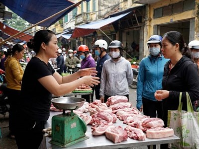 Giá heo hơi hôm nay 13.2: Dao động 71.000 – 74.000 đồng/kg