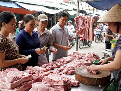 Giá heo hơi hôm nay 14.2: Thị trường trước Tết ít biến động