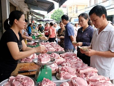 Giá heo hơi hôm nay 23.2: Miền Trung chạm mức 74.000 đồng/kg