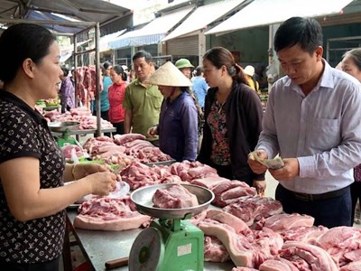 Giá heo hơi hôm nay 24.2: Miền Bắc có nơi giảm còn 70.000 đồng/kg