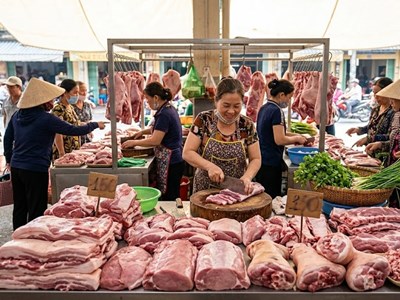 Giá heo hơi hôm nay 10.3: Lâm Đồng dẫn đầu 68,000 đồng/kg