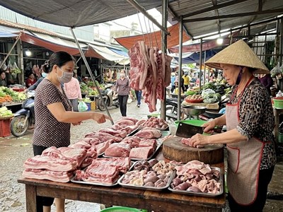 Giá heo hơi hôm nay 29.3: Áp lực giảm xuất hiện ở miền Trung