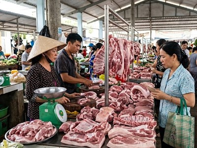 Giá heo hơi hôm nay 30.3: Ổn định trên diện rộng