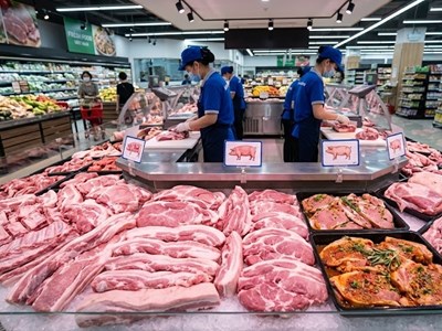 Giá heo hơi hôm nay 11.4: Giữ đỉnh 69.000 đồng/kg