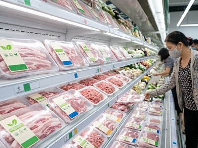 Giá heo hơi hôm nay 15.4: Ổn định trên cả nước, giữ giá cao