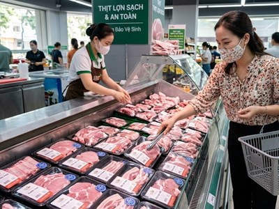 Giá heo hơi hôm nay 28.4: Miền Nam giữ đỉnh, cả nước đi ngang