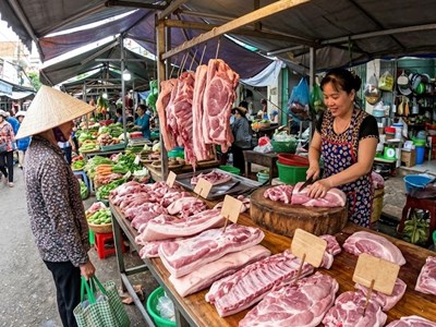 Giá heo hơi hôm nay 8.5: Xu hướng tăng nhẹ vẫn duy trì