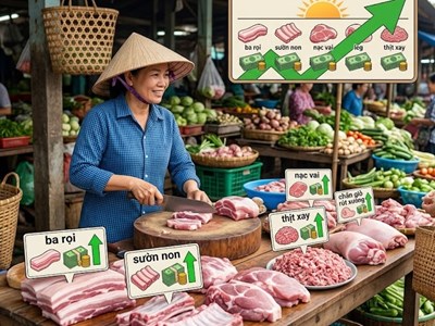 Giá heo hơi hôm nay 11.5: Nguồn cung ổn định nhưng giá chưa hạ nhiệt
