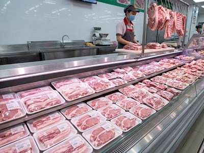 Giá heo hơi hôm nay 17.5: Sức mua ổn định, giá khó giảm sâu