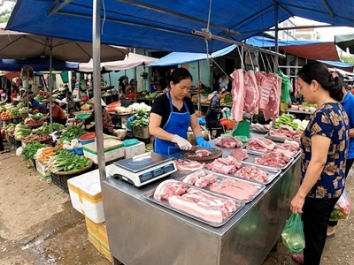 Giá heo hơi hôm nay 18.5: Thị trường đi ngang, chờ tín hiệu tuần mới
