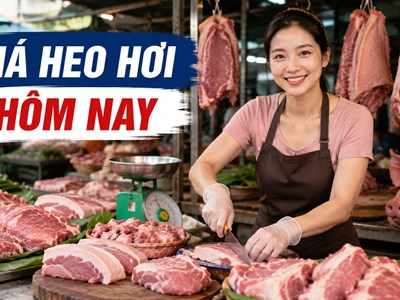 Giá heo hơi hôm nay 28.5: Nguồn cung tăng dần, giá bắt đầu phân hóa giữa các vùng