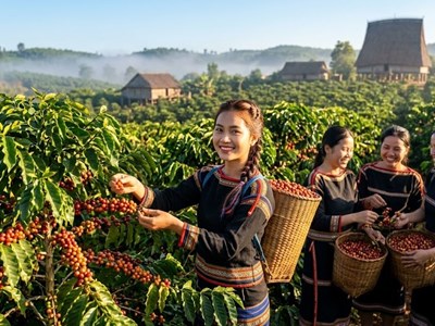 Giá cà phê hôm nay 16.6: Đi ngang sát mốc 90.000 đồng/kg