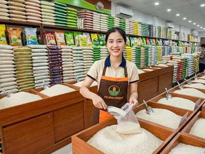 Giá lúa gạo hôm nay 22.6: Lúa trong nước ổn định, gạo xuất khẩu nhích nhẹ