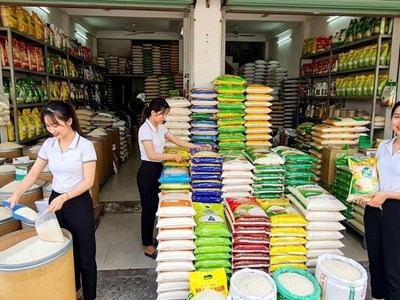 Giá lúa gạo hôm nay 23.6.2026: Lúa Nhật cao nhất 7.500 đồng/kg