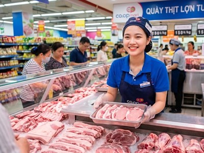 Giá heo hơi hôm nay 7.8.2026: Miền Bắc neo mức cao