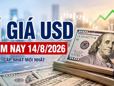 Tỉ giá USD hôm nay 14.8.2026: Giá USD ngân hàng xuống thấp