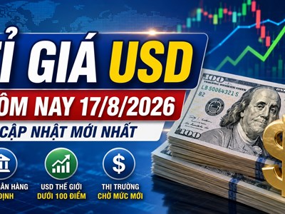 Tỉ giá USD hôm nay 17.8: DXY dưới 100 điểm, giá ngân hàng ra sao?