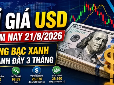 Tỉ giá USD hôm nay 21.8: Giá ngân hàng ổn định, đồng bạc xanh chưa thoát đáy