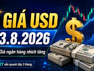 Tỉ giá USD hôm nay 23.8.2026: USD tự do xuống dưới 26.000 đồng