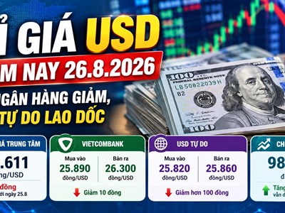 Tỉ giá USD hôm nay 26.8.2026: Giá ngân hàng giảm, USD tự do lao dốc
