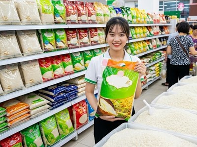 Giá lúa gạo hôm nay 29.9.2026: CL 555 giữ giá, xuất khẩu chịu sức ép