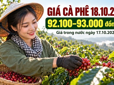 Giá cà phê hôm nay 18.10.2026: Robusta và Arabica cùng hỗ trợ