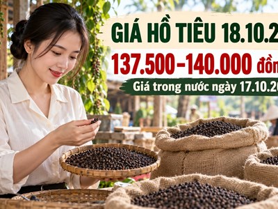 Giá hồ tiêu hôm nay 18.10.2026: Trong nước giữ giá, quốc tế phân hóa