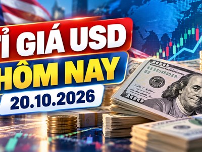 Tỉ giá USD hôm nay 20.10.2026: DXY trở lại sát 102 điểm