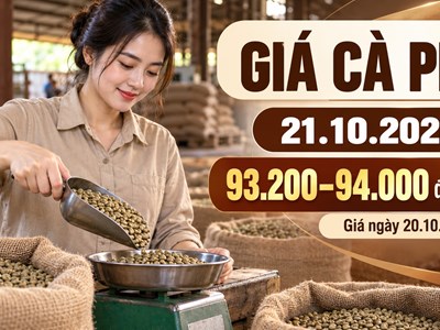 Giá cà phê hôm nay 21.10.2026: Trong nước tăng, hai sàn điều chỉnh