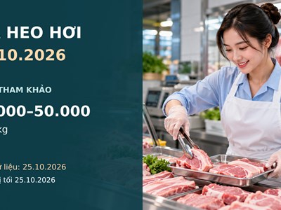 Giá heo hơi hôm nay 26.10.2026: Chờ sức mua sau tuần giảm sâu