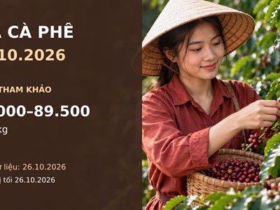 Giá cà phê hôm nay 27.10.2026: Robusta chịu sức ép nguồn cung