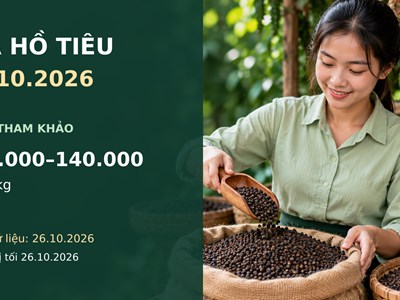 Giá hồ tiêu hôm nay 27.10: Theo dõi nhu cầu và cạnh tranh xuất khẩu