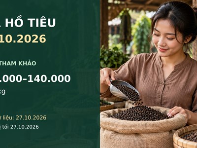 Giá hồ tiêu hôm nay 28.10.2026 và triển vọng phiên giao dịch mới