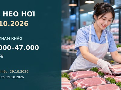 Giá heo hơi hôm nay 30.10.2026: Áp lực giảm lan rộng trên ba miền