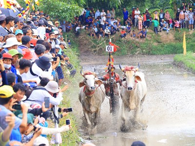 Phát động Hội thi “Ảnh đẹp du lịch An Giang năm 2024“