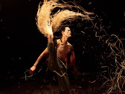 Trình diễn nghệ thuật múa đương đại trên cánh đồng lúa chín Hội An