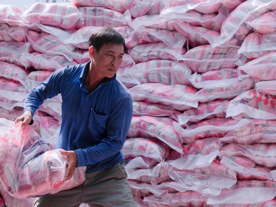 Hỗ trợ doanh nghiệp mở rộng thị trường, thúc đẩy xuất khẩu tại chỗ