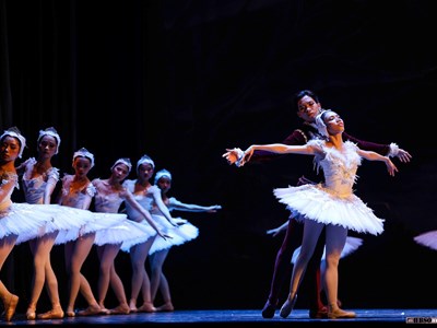 Lần đầu công diễn trọn vẹn vũ kịch 'Hồ Thiên Nga' tại Việt Nam