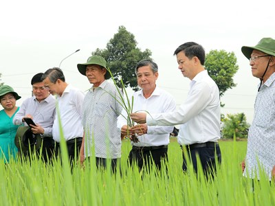 Cần Thơ phát động Tết trồng cây Xuân Bính Ngọ 2026