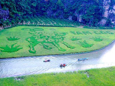 Tuần lễ du lịch Ninh Bình “Sắc vàng Tam Cốc - Tràng An” năm 2024 