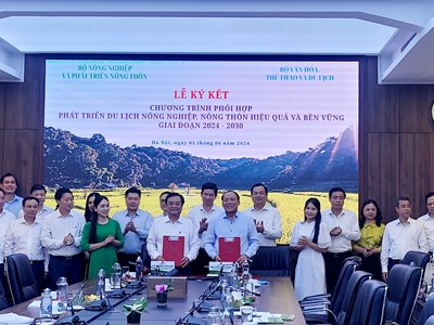 Phối hợp phát triển du lịch nông nghiệp, nông thôn