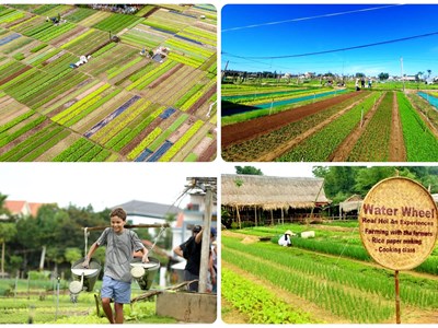 Việt Nam đăng cai Hội nghị quốc tế lần thứ nhất về Du lịch nông thôn