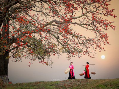 Sức hút từ du lịch hoa