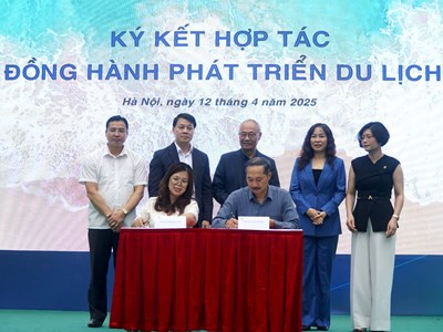 Khám phá Đà Nẵng 2025 với những hoạt động du lịch đa trải nghiệm 