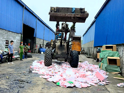 Quảng Ninh tiêu huỷ gần 2.000 gấu bông Baby Three do chứa chất gây ung thư